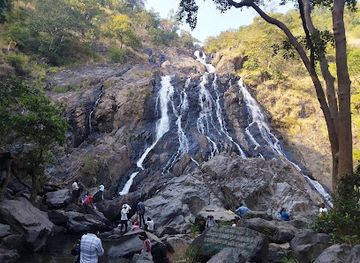 india/central-india/attraction/gangulpara-waterfalls