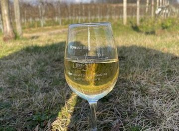 germany/heidelberg/attraction/hessische-staatsweinguter-gmbh-domain-bergstrasse