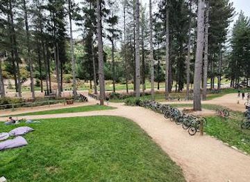 new-zealand/christchurch/attraction/christchurch-adventure-park