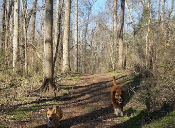 south-carolina/rock-hill/attraction/westminster-park