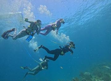 florida/key-west/attraction/snuba-of-key-west