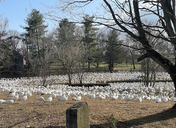 pennsylvania/lancaster/attraction/goose-pond