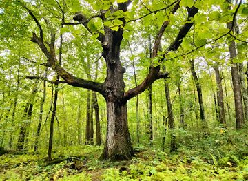 connecticut/ski-sundown/attraction/indian-council-cave-trail