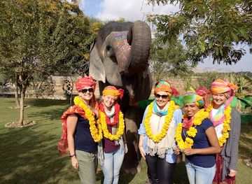 india/jaipur/amer/attraction/elesafari