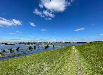 florida/sarasota-beaches/attraction/celery-fields