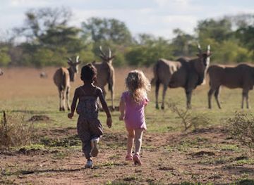 zimbabwe/mashonaland-west/attraction/an-eye-for-the-wild
