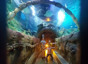 SEA LIFE Kansas City