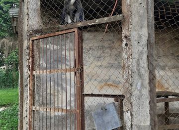 cameroon/centre-region/attraction/vog-beti