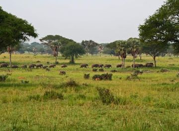 uganda/eastern-region/attraction/je-fais-nature-safaris