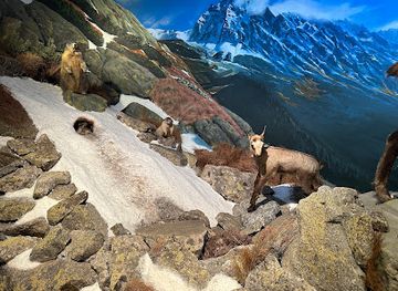 slovakia/nizke-tatry-national-park/attraction/museum-of-tanap
