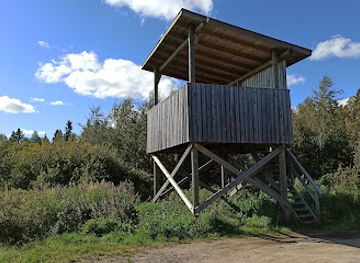 finland/rovaniemi/attraction/niskanpera-bird-watching-tower