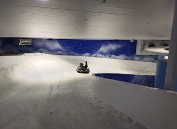 thailand/chiang-mai/attraction/snowbuddy-winterland-chiang-mai-zoo