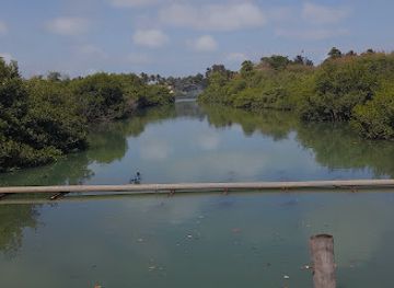 the-gambia/kanifing/attraction/nature-trail