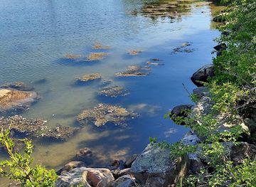 rhode-island/napatree-point-conservation-area/attraction/knox-preserve-avalonia-land-conservancy