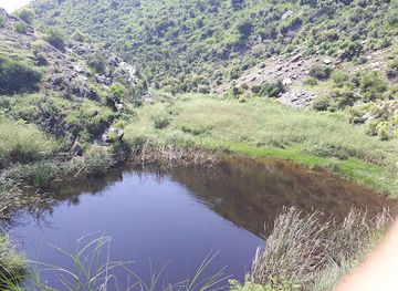 pakistan/khyber-pakhtunkhwa/attraction/neela-dhand-lake