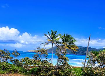 puerto-rico/culebra/attraction/reserva-natural-de-culebra