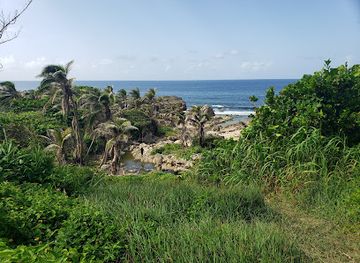 barbados/saint-joseph/attraction/joes-river