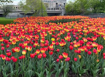 canada/ottawa-valley/attraction/international-peace-garden