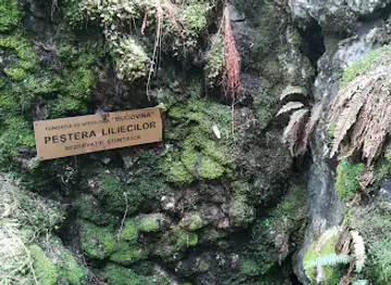 Peștera Liliecilor