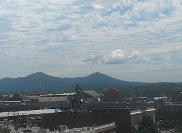 virginia/roanoke-valley/attraction/science-museum-of-western-virginia