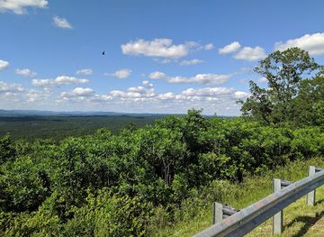 Talladega National Forest