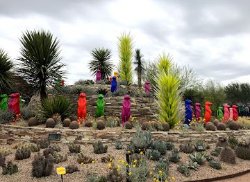 Desert Botanical Garden