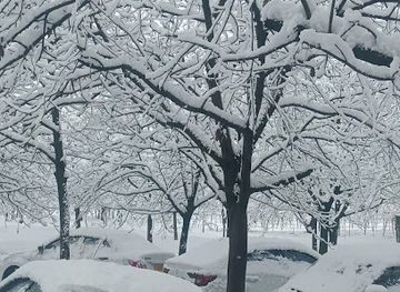 india/kashmir-valley/attraction/dream-winter-tour-and-travel-kashmir