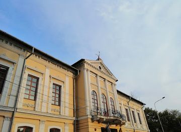 romania/targu-jiu/attraction/gorj-county-museum-alexander-stefulescu