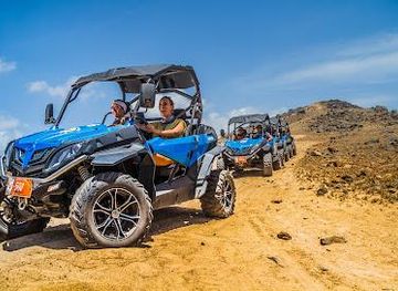 aruba/noord/attraction/de-palm-tours-aruba