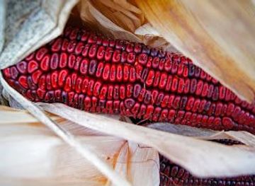 kentucky/frankfort/attraction/jeptha-creed-distillery