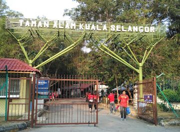 malaysia/selangor/attraction/taman-alam-kuala-selangor