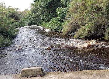 zambia/kasanka-national-park/attraction/pontoon-campsite