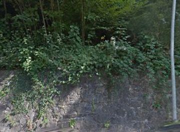 switzerland/vevey/attraction/les-bosquets