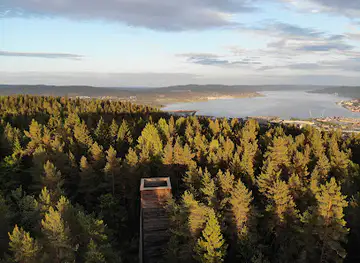 Luftesjakt i Bragernesåsen