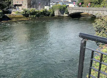 The River Corrib Spill Rainbow