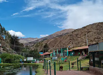 Cochahuasi Animal Sanctuary