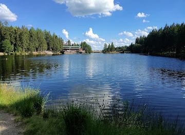 germany/fichtel-mountains/attraction/naturwaldreservat-fichtelseemoor