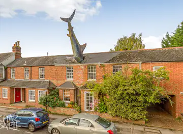 The Headington Shark