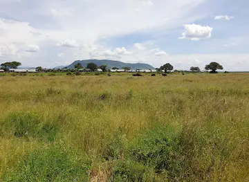 Ruaha National Park INGRESSO