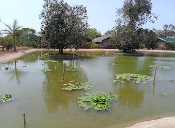 kenya/coastal-region/attraction/bora-bora-wildlife-park-luxury-tented-camp