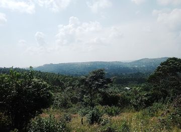 uganda/jinja-source-of-the-nile/attraction/eden-hills