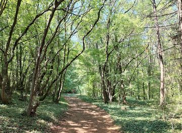 bulgaria/golden-sands/attraction/ceshma-aladzha-monastery