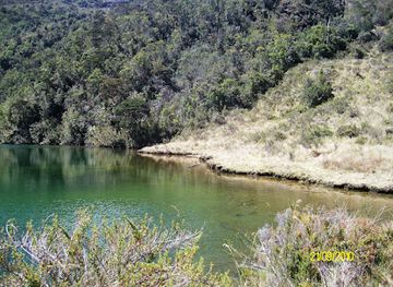 papua-new-guinea/madang-region/attraction/mt-wilhelm