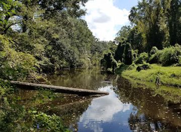 louisiana/river-parishes/attraction/bayou-manchac-park