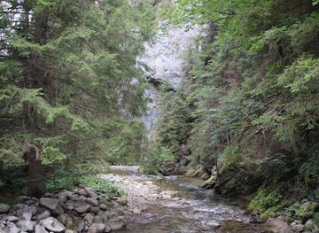 slovakia/low-tatras-national-park/attraction/naucny-chodnik-pribeh-vody-demanovska-dolina