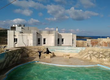 malta/mistra-bay/attraction/mediterraneo-marine-park