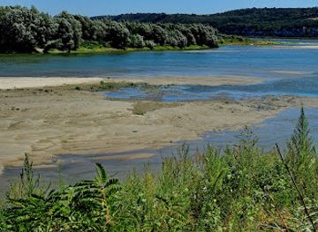 romania/teleorman/attraction/plaja-gura-oltului