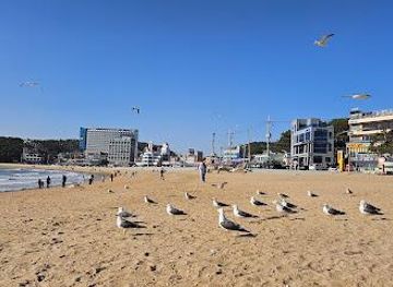 south-korea/incheon/attraction/eurwangni-beach