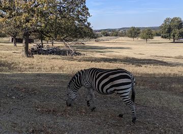 oklahoma/chickasaw-national-recreation-area/attraction/arbuckle-wilderness