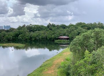 singapore/sungei-buloh-wetland-reserve/attraction/aerie-tower